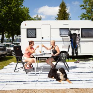 Covor exterior 800×300 cm, culoare albastru/alb