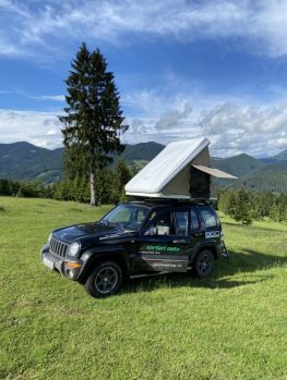 Cort plafon auto XGO-04